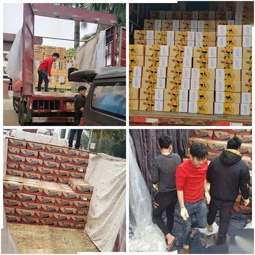 同舟共冀，共同戰(zhàn)“疫”——河北博泉集團(tuán)捐贈(zèng)32噸澄邁農(nóng)產(chǎn)品支援抗疫一線